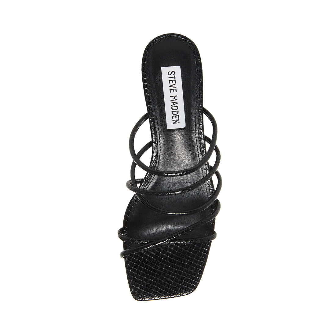 PAIGE BLACK SNAKE - SM REBOOTED