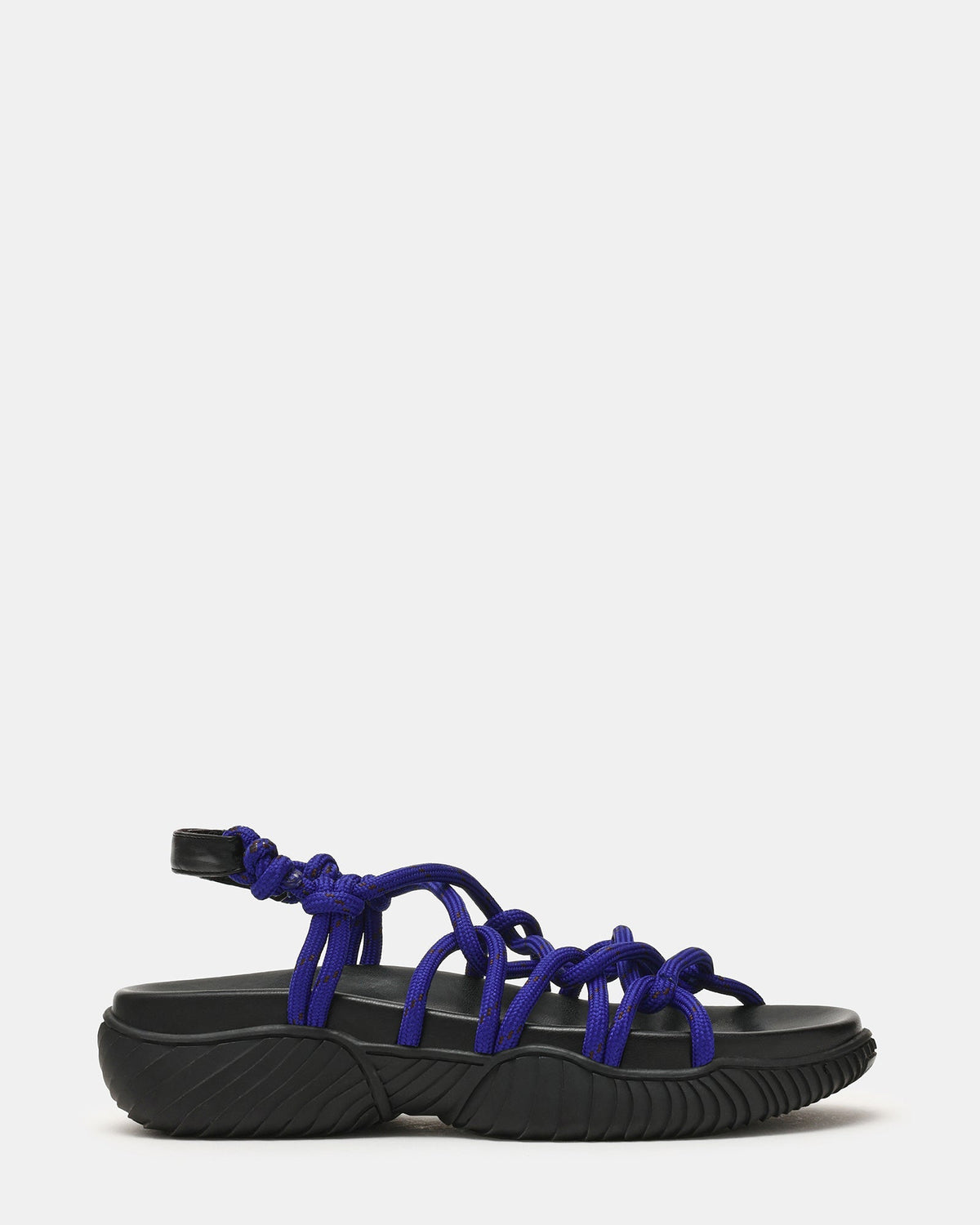 CONNIE COBALT