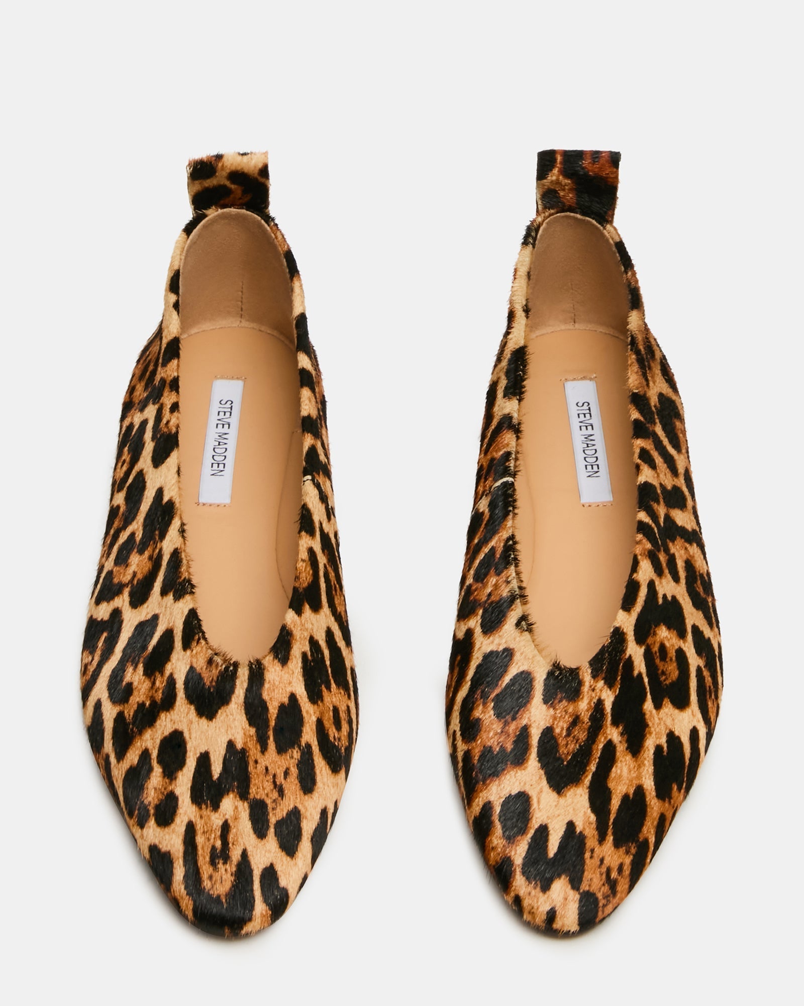 SWANKY LEOPARD